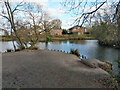 Moat Pond, East Grinstead