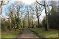 TQ4794 : Path in Hainault Forest by David Howard
