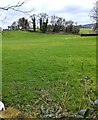 Grassy field and distant trees, Howick, Monmouthshire