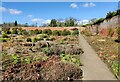 Walled garden at Croft Castle