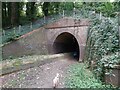 TQ7516 : Footpath under the Railway by John P Reeves