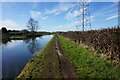 Bridgewater Canal towards Agden Bridge