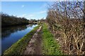 Bridgewater Canal towards Grantham