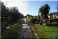 Bridgewater Canal towards Ditchfields Bridge