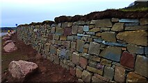 NO7463 : New dry-stane dyking at St Cyrus National Nature Reserve car park by Gordon Brown