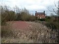 Pond at Crowle Green