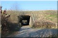 TQ4799 : Tunnel under the M25, Theydon Garnon by David Howard