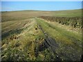 Track at side of field