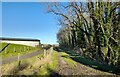 Farm track near Simonscales Bridge