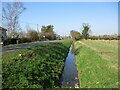 Drain alongside the B1192, Wildmore