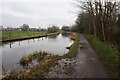 Macclesfield Canal towards bridge #35