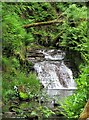 Upper Weir on Midgelden Brook