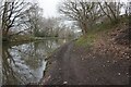 Macclesfield Canal towards bridge #33