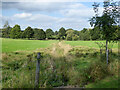 Ditch down to lake near Fen Place Mill