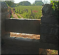 Stone stile west of Durl Head