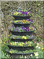 TG3525 : Flower display at entrance to Garden Centre by David Pashley