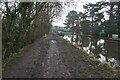 Macclesfield Canal towards bridge #19