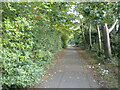 Footpath parallel to Mere Way, Far Cotton (2)