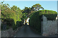 Driveway, Grafton Road, Torquay