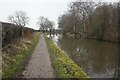 Macclesfield Canal towards bridge #8