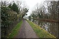 Macclesfield Canal towards bridge #5