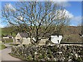 Stackpole Quay Farm