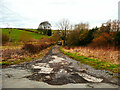 Bridleway off Wike Lane, Wike