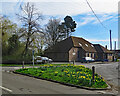 TL4346 : Thriplow: daffodils and the Village Hall by John Sutton