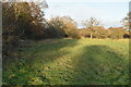 Footpath along field boundary