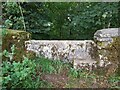 Stone stile field to wood, Miserden Estate GS1052