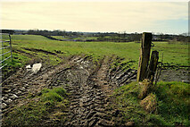 H5375 : Muddy entrance to field, Oxtown by Kenneth  Allen