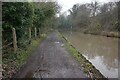 Peak Forest Canal towards Hyde Bank Tunnel