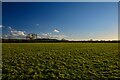 Marsh Common : Grassy Field