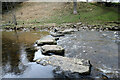 SE1386 : Stepping stones, River Cover by Andy Waddington
