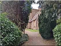 SO5932 : Path to All Saints Church (Brockhampton-by-Ross) by Fabian Musto