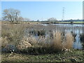 SK2118 : The River Trent, downstream of Walton-on-Trent by Christine Johnstone