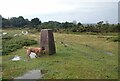 TQ4628 : Camp Hill Trigpoint on Ashdown Forest by John P Reeves
