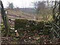 Stone stile below Sudgrove House, Miserden GS1060