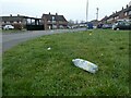 Litter on the verge between Fir Tree Road and Cedar Way