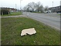 Litter on the verge in Larch Avenue