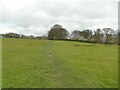 Paved path towards Low House