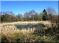 Slack Dam, Wibsey Park, Bradford