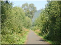 NS5398 : Sustrans Cycle Route 7, and footpath by Eirian Evans