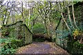 Damems Lane Railway Bridge remains