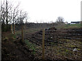 Path from Pogg Myres Lane to Echo Street, Liversedge