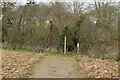 Footpath into hedge