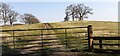 Track into fields from east side of Brampton Lane south of Langton Cottages