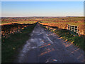 Track near Auchenheath