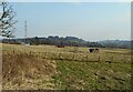 View across fields