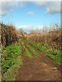 Gordano Round from Happerton Lane